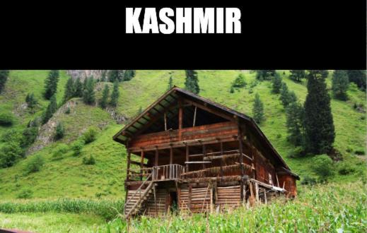Hotel Kashmir Hill Town Srīnagar Exteriér fotografie